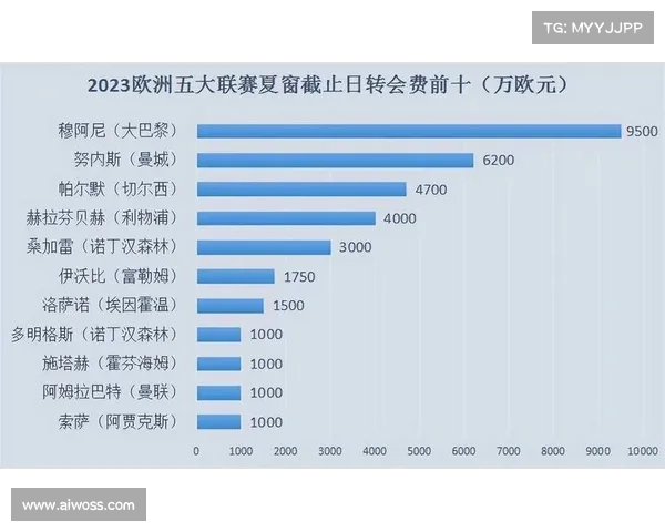 足球五大联赛转会费用排行榜揭晓顶级球员交易动向分析 足球五大联赛转会费用排行榜揭晓顶级球员交易动向分析